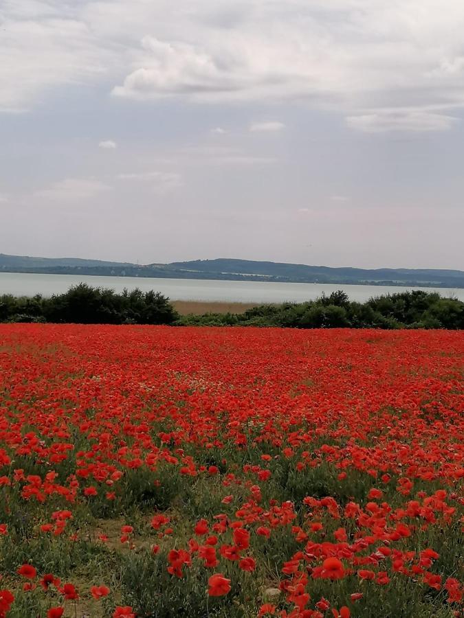 Aszofoi Panorama Apartmanhaz Luaran gambar